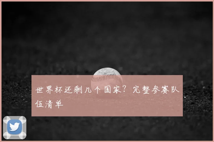 世界杯还剩几个国家？完整参赛队伍清单