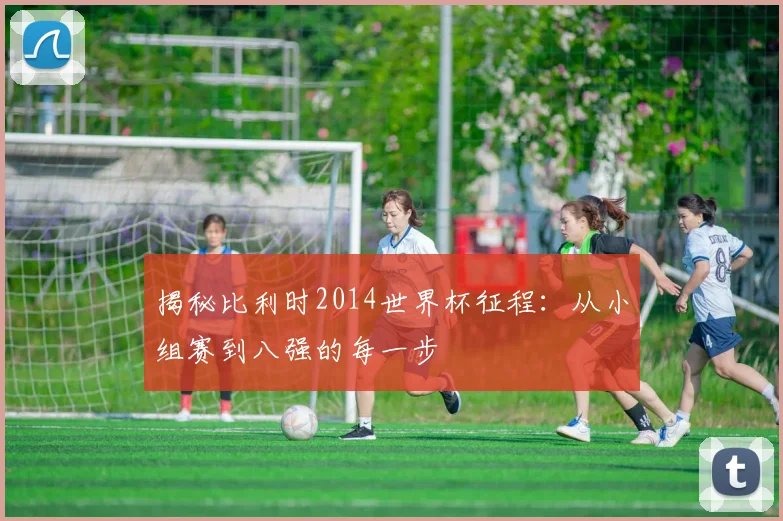 揭秘比利时2014世界杯征程：从小组赛到八强的每一步