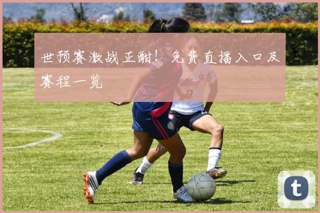 世预赛激战正酣！免费直播入口及赛程一览