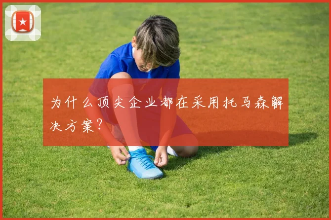 为什么顶尖企业都在采用托马森解决方案？