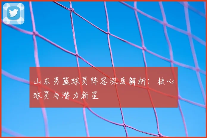山东男篮球员阵容深度解析：核心球员与潜力新星